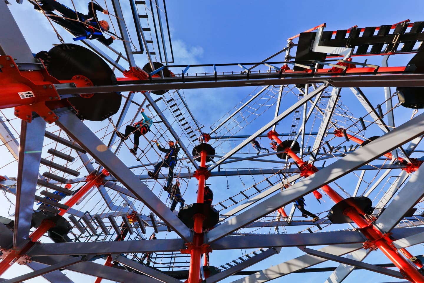 Norwegian Cruise Line